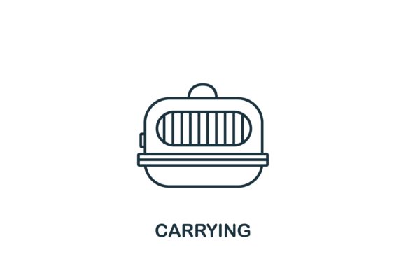 Understanding the Carrying Icon: A Versatile Element for Web Design and Infographics