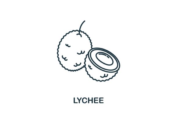 Understanding the Lychee Icon from Fruits Collection: A Versatile Design Asset