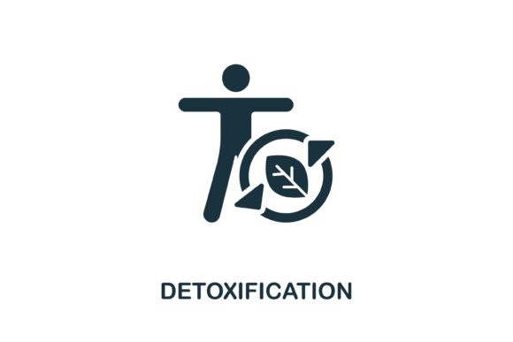 Understanding the Role of Detoxification Icons in Modern Web Design and Visual Communication