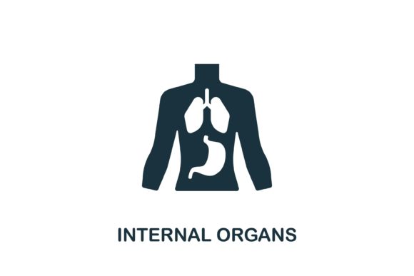 Unlocking Creativity: The Role of Internal Organs Icons in Modern Design and Communication